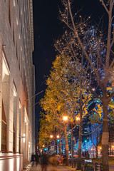 Fototapeta premium Festival of the Lights in Osaka. The winter illumination events, Midosuji Illumination and Hikari Renaissance. popular tourist attraction, travel destination for vacation
