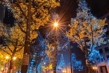 Festival of the Lights in Osaka. The winter illumination events, Midosuji Illumination and Hikari...