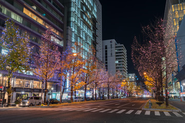 Fototapeta na wymiar Festival of the Lights in Osaka. The winter illumination events, Midosuji Illumination and Hikari Renaissance. popular tourist attraction, travel destination for vacation