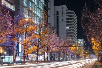 Festival of the Lights in Osaka. The winter illumination events, Midosuji Illumination and Hikari...