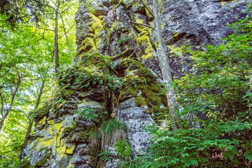 Rocks with moss, Hrb hill, Vepor mountains, Polana, Slovakia © vrabelpeter1