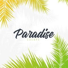 Summer Tropical palm leaves. Exotic palms tree. Floral Background.