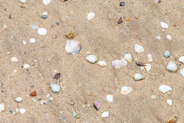 Fototapeta na wymiar Sandy beach for background.