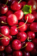 Fresh organic red cherries