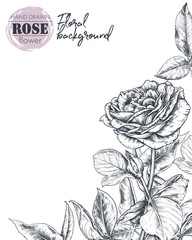 Vector template for greeting card or invitation with hand drawn rose flowers