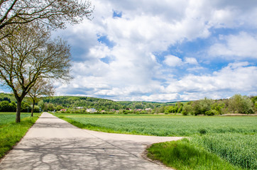 Fototapeta na wymiar beautiful green fields in Germany