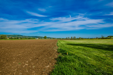 beautiful green fields in Germany