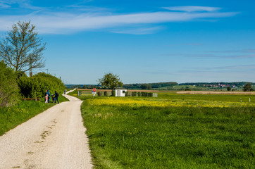 beautiful green fields in Germany