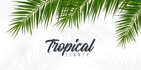 Fotobehang Summer Tropical palm leaves. Exotic palms tree. Floral Background. © leo_d