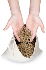 Biomass - pellet - obrazy, fototapety, plakaty
