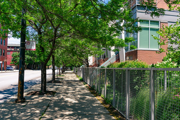 Shaded Sidewalk with Trees and Residential Buildings in the South Loop Neighborhood of Chicago