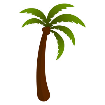 Isolated palm tree on a white background - Vector