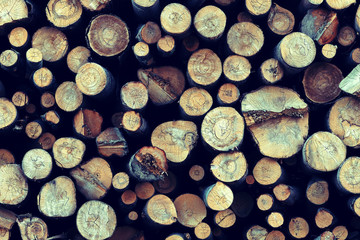 Wooden cut logs background. Pile of logs. Stack of firewood close up. Sawed tree trunks of different diameters. Toned image