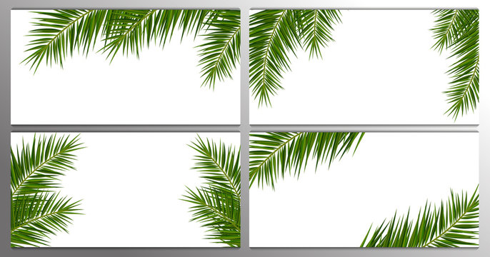 Set of Summer Tropical palm leaves. Exotic palms tree. Floral Background.