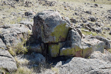 Near the Uybat river.Khakassia.