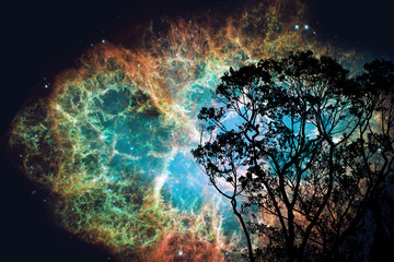 blur Crabmosaic galaxy nebula back on night cloud sunset sky silhouette tree