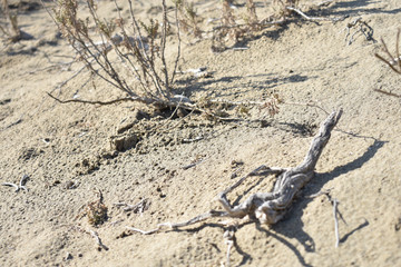 Textura del desierto de Chile