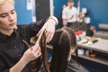 Fototapeta premium hairdresser holding scissors and comb and makes haircut woman client. Young beautiful woman hair cut in beauty salon. Process of hair cutting with use scissors. Hairdresser trimming brown.