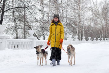 Young woman is walking in a snowy winter park with her two dogs.