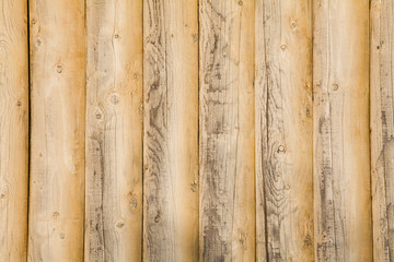 wood texture, tree, nature, background, texured