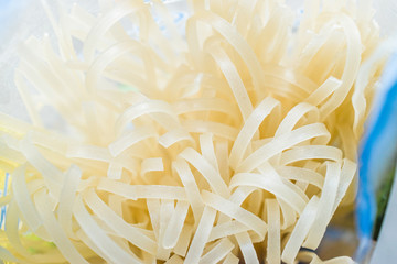 Raw Rice Noodle in Plastic Package / Container Ready to Use.