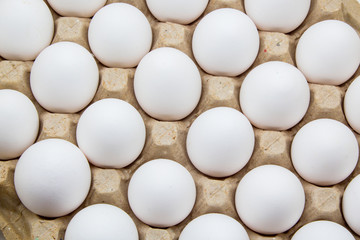 Chicken eggs isolated on background