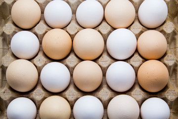 Chicken eggs isolated on background