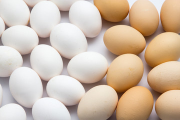 Chicken eggs isolated on background