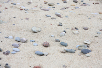 Fototapeta na wymiar Light brown sand and different stone pebbles on seaside as natural abstract textured background. 