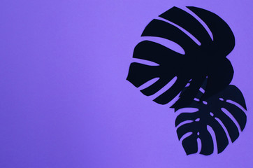 Background from tropical leaves of paper on a neon background.