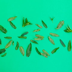 Bright and gentle background with fresh mint leaves.