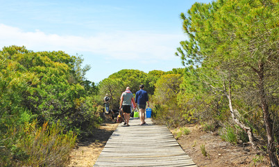 Fototapeta na wymiar Two men walking on a wooden path among pine trees in the Cuesta Maneli Natural Area within the Doñana National Park in the province of Huelva, Andalusia, Spain