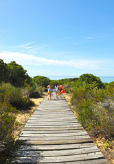 Tres chicas caminando en un sendero de madera entre pinos en el Paraje Natural Cuesta Maneli dentro del Parque Nacional de Doñana en la provincia de Huelva, Andalucía, España