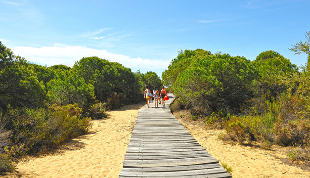 Three unknown girls walking on a wooden path among pines in Cuesta Maneli Natural Area within the Do&ntilde;ana National Park in the province of Huelva, Andalusia, Spain