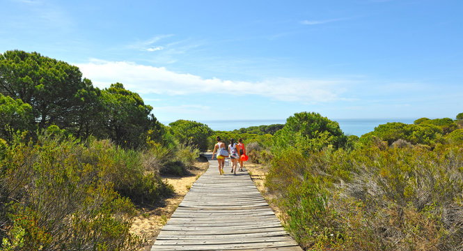 Three unknown girls walking on a wooden path among pines in Cuesta Maneli Natural Area within the Do&ntilde;ana National Park in the province of Huelva, Andalusia, Spain