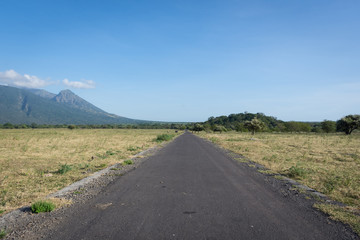 Fototapeta na wymiar An asphalt road with the beautiful surrounding nature on Baluran. Baluran National Park is a forest preservation area that extends about 25.000 ha on the north coast of East Java, Indonesia.