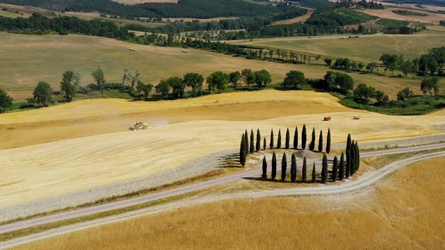 cypr&egrave;s et agriculture, toscane en Italie