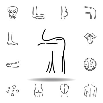set of human organs men shoulder outline icon. Signs and symbols can be used for web, logo, mobile app, UI, UX
