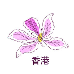 Vector hand drawn illustration of Bauhinia variegata, national Hong Kong flower and chinese hieroglyphs Hong Kong, isolated on white.