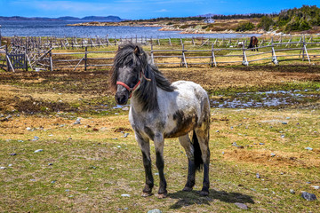Change Island, Newfoundland, Canada
