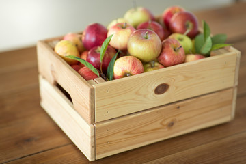 fruits, food and harvest concept - ripe apples in wooden box on table
