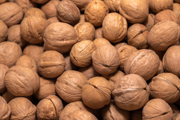 Background for wallpaper in the form of a pattern of walnuts.