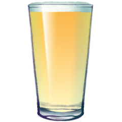 An american pint. A glass for lagers, american pale ales. 