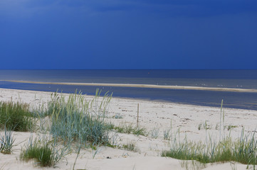 Sand dunes at beach.