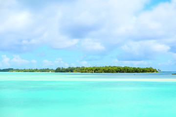 Bora Bora paradise Beach  and Jungle in French Polynesia