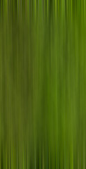Fototapeta premium vertical format illustration of abstract green lines motion background
