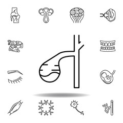 set of human organs gallbladder outline icon. Signs and symbols can be used for web, logo, mobile app, UI, UX