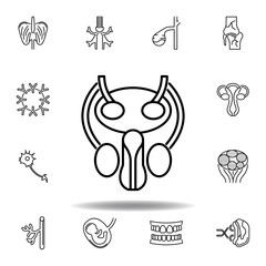 set of human organs organs outline icon. Signs and symbols can be used for web, logo, mobile app, UI, UX