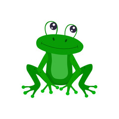 Cute cartoon frog vector flat illustration.