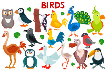 Set of cute cartoon birds. Vector flat illustration.